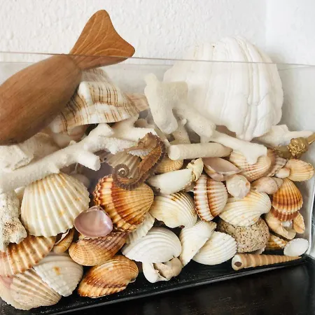 公寓 Fragata Seaview *